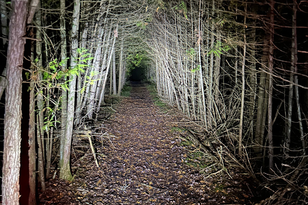 brucetrail 2
