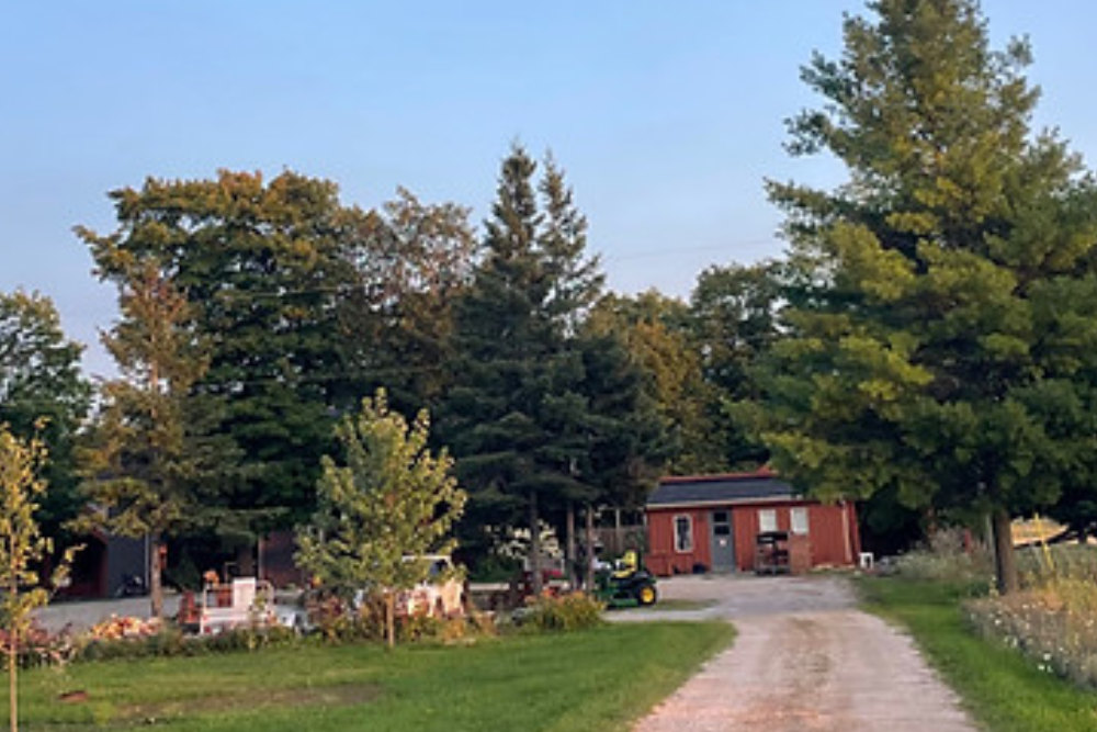 Microfarm 3