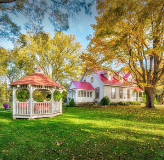 Lionheart Guesthouse and B & B